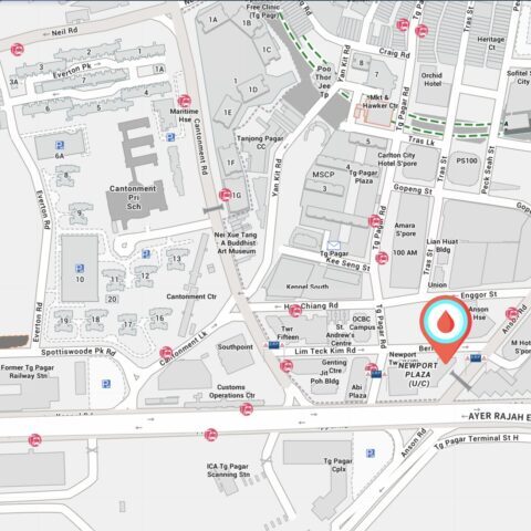 Newport Residences Location Map